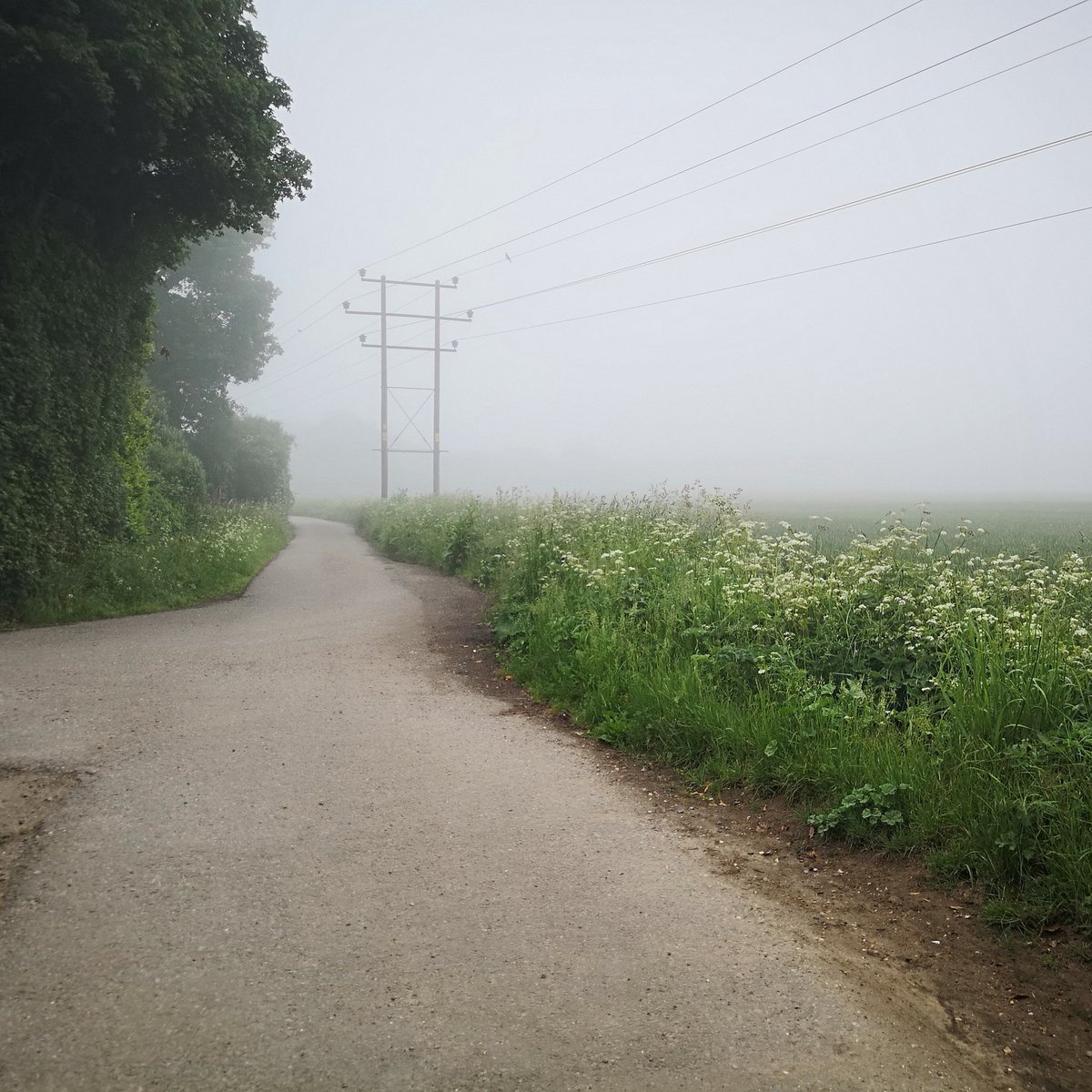 nothingplusmore's tweet image. 