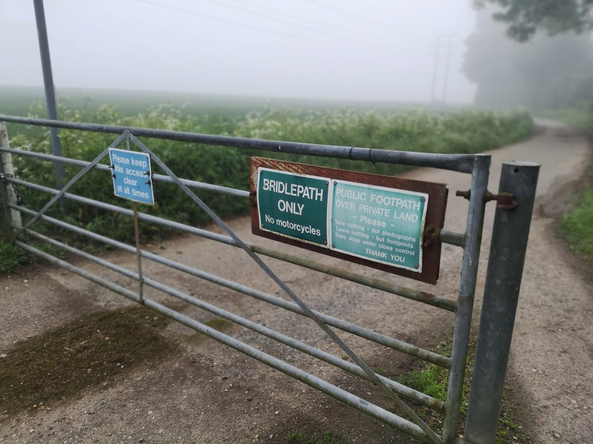 nothingplusmore's tweet image. 