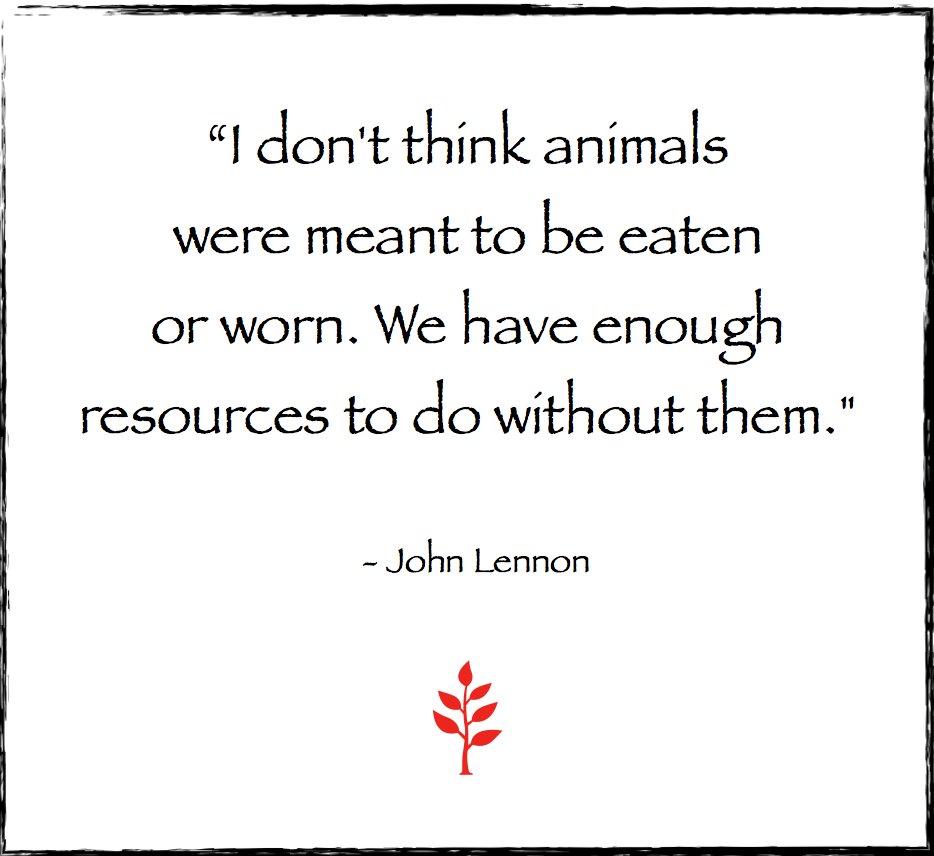 kathyfreston's tweet photo. 💚
.
.
.
#veganquotes #compassionforanimals #respectalllife #love #vegan #vegansofinstagram #vegansofig #veganinspiration #livekindly #foranimals #forhealth #fornutrition #forenvironment #johnlennonquote https://t.co/WkIDgyi9XR