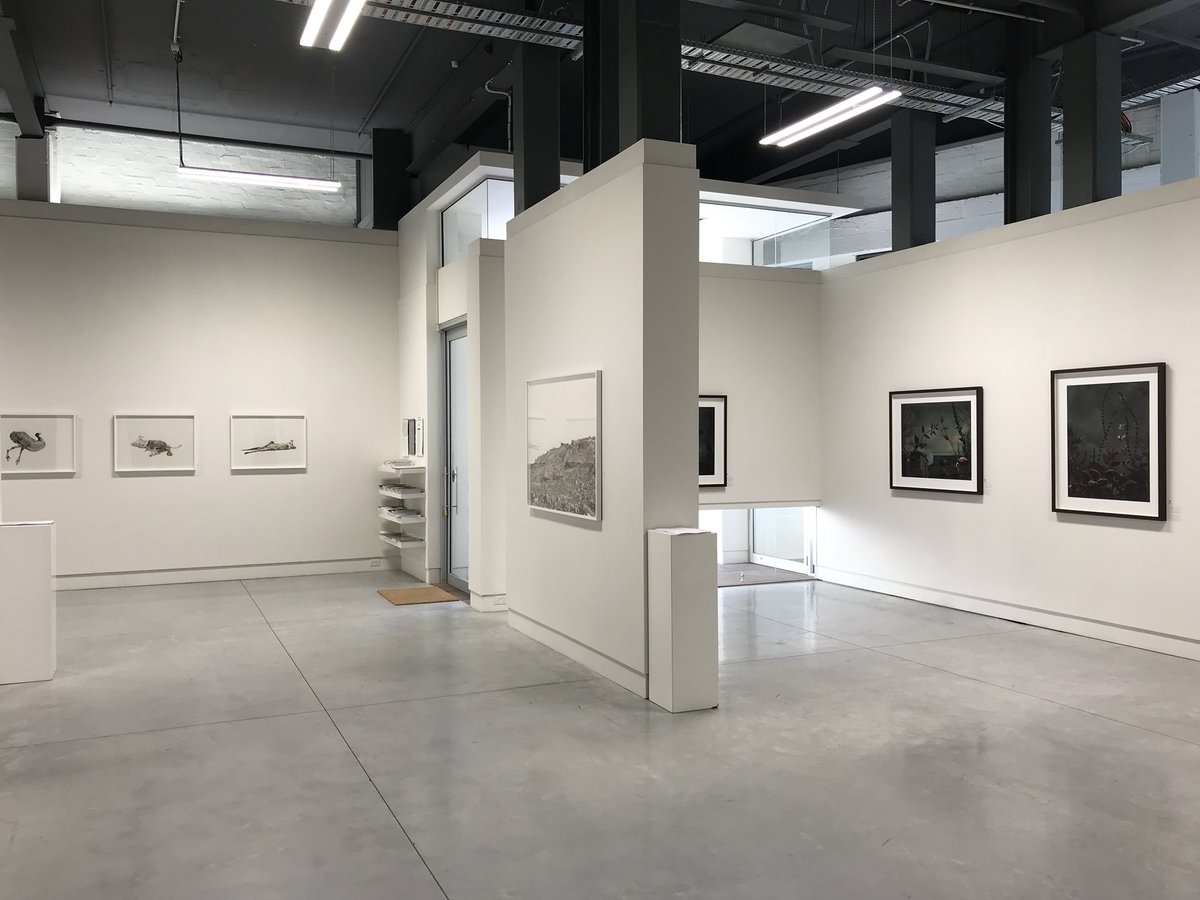 mayspacesyd's tweet photo. Last week to see our current solo exhibitions by #PaulWhite and #DanielShipp - shows close at 4pm on Saturday 2 June.
> Paul White: https://t.co/tabJbCtkWR
> Daniel Shipp: https://t.co/SuESMiTuV9 https://t.co/sF2r6k89EQ