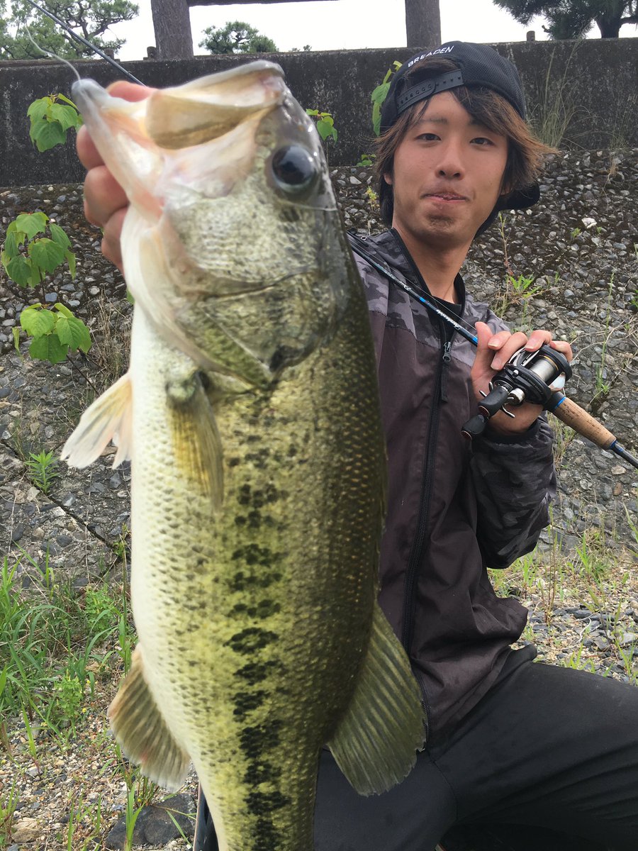 横田将一 夕方だけ宇治川のぞきに 急な大減水だったんでサイトのみ 岩に隠してシェイクしてたら泳ぎ止めてくってくれました シェイクシャッド3ダウンショット ベイトフィネスでした