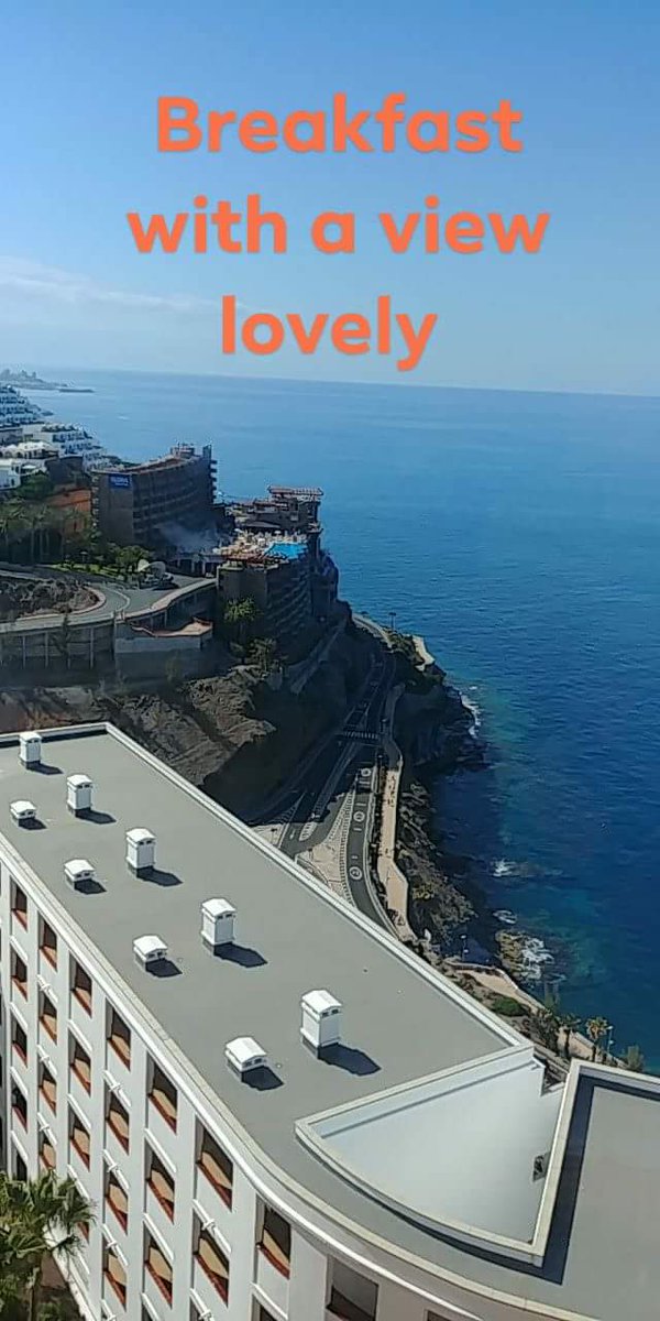 shellz1111's tweet image. 