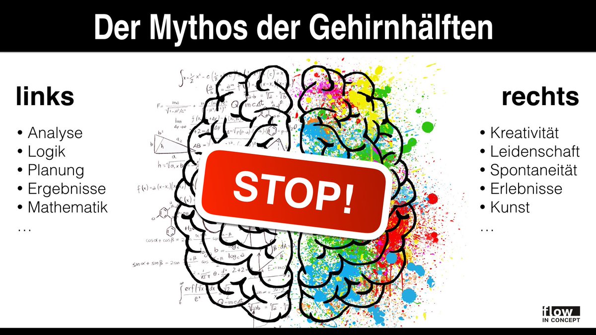 Gehirnhalften