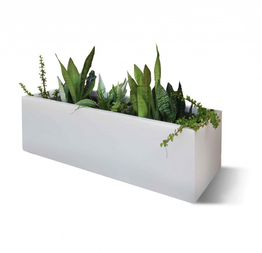 Can you help? We are looking for kind person or business to donate an indoor planter to the Hospice to help brighten up our foyer. The dimensions we are need are roughly 30-40 cm wide and 70-90cm long and tall 60-70cm. If you can help we would be incredibly grateful! #donation
