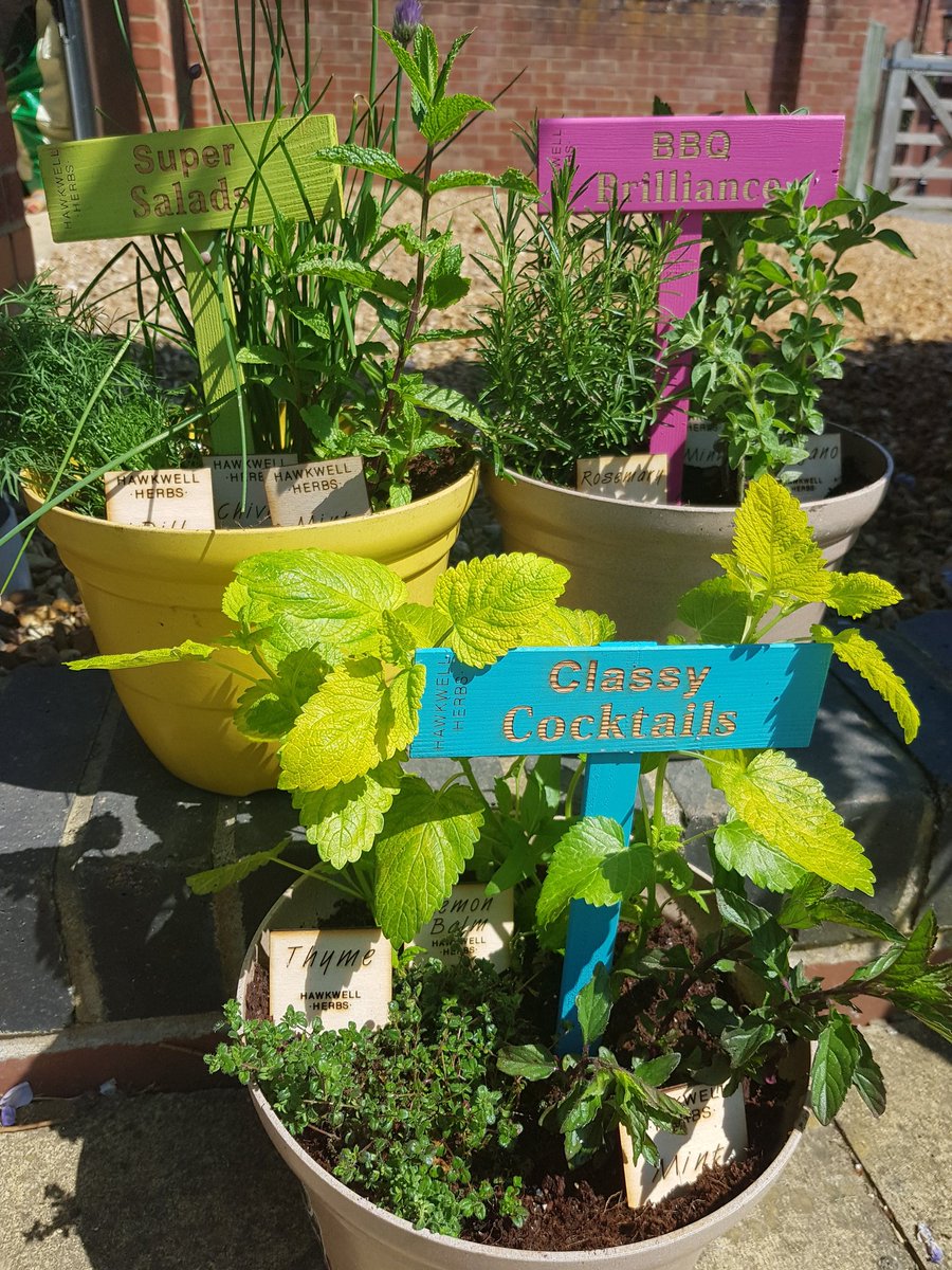 SudboroughSara's tweet photo. Looking forward to attending Thrapston Farmers' Market this Saturday. 9am - 1pm. Do come and visit me, and the Herbs of course! Each herb pot comes with ideas on how to cook with them. #thrapstonfarmersmarket #herbsinpots #cookwithherbs https://t.co/mrp4qZXyNJ