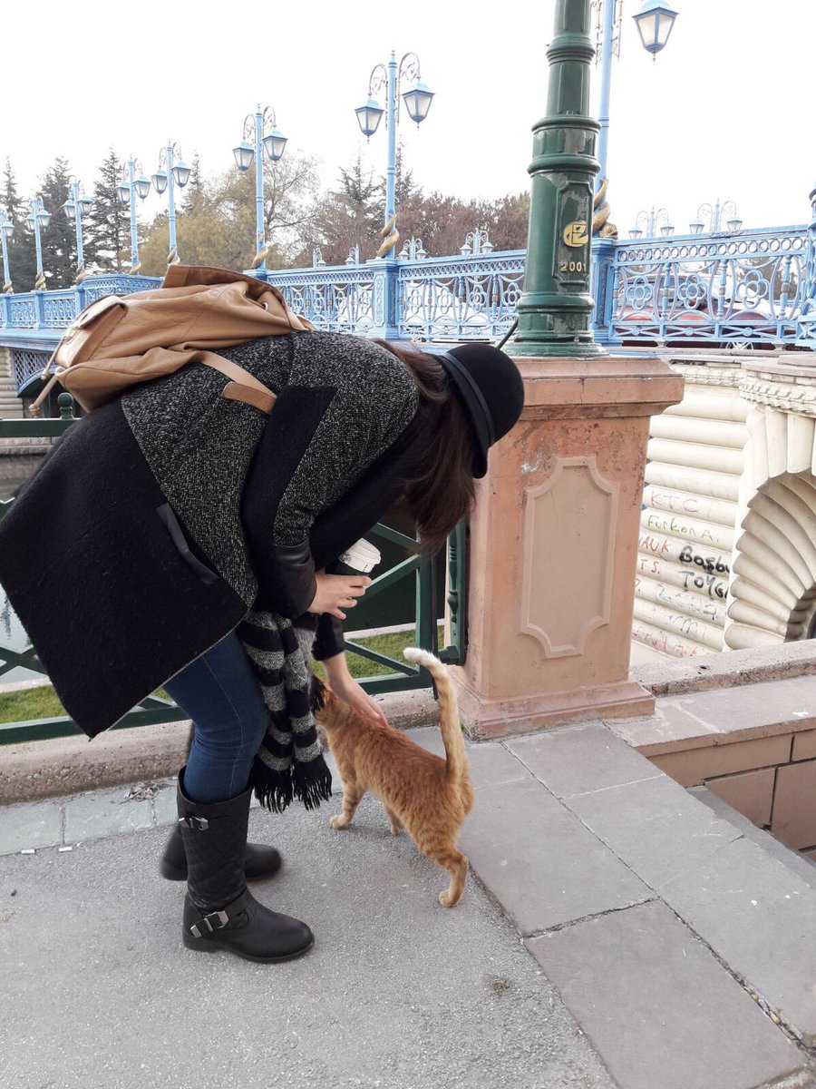 I will count Eskisehir from December 2017 as it was a great city. But it turns out I spent a lot of that day trip with cats  Eskisehir’s Independence Museum was a particular delight on this trip.