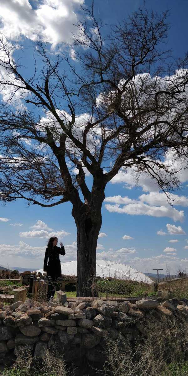 Then there was Urfa in March including of course a visit to Balıklı Göl and Gobekli Tepe (more on the latter which is believed to be the world’s oldest temple here:  https://www.smithsonianmag.com/history/gobekli-tepe-the-worlds-first-temple-83613665/)