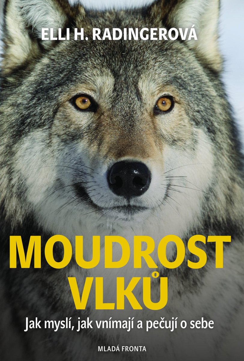 mfknihy's tweet photo. Moudrost vlků od Elli H. Radinger byla předminulý týden 3. nejprodávanější populárně naučnou knihou v ČR. Již chystámě dotisk!
#MFKnihy https://t.co/IQNL5rZmfW