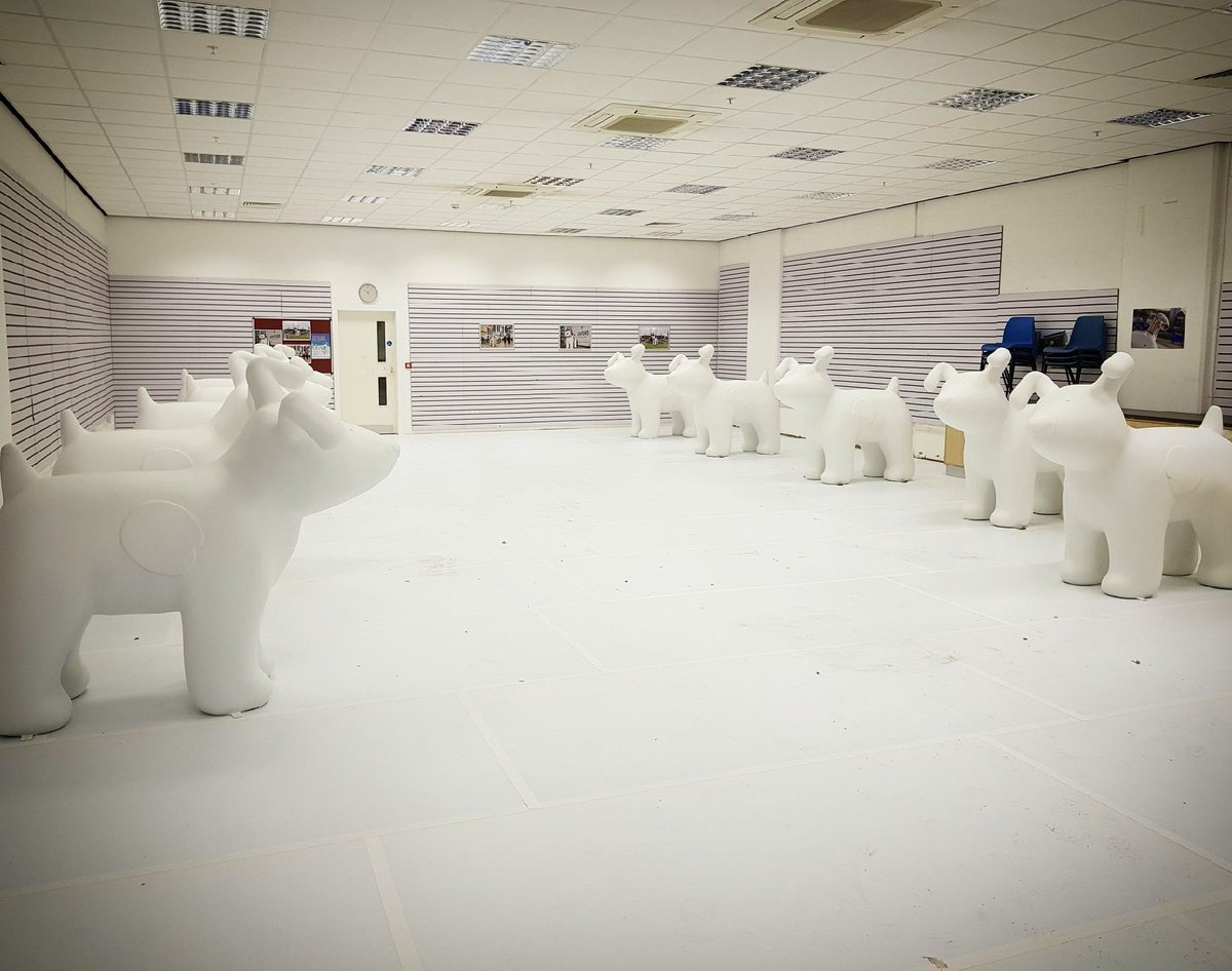 AshfordSnowdogs's tweet photo. Thanks so much to @AshfordCouncil @TCATashford service for helping us set up our Artist Kennel in @CountySquare. Artists to arrive later this week! https://t.co/7hJsxEBNzW