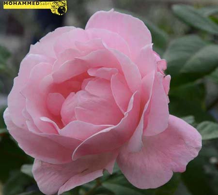 José Expósito León (@joseexpositoo) on Twitter photo 