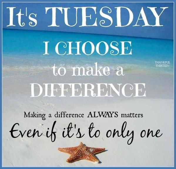 thandisocial's tweet photo. #ChooseDay https://t.co/Ka66NI1c20