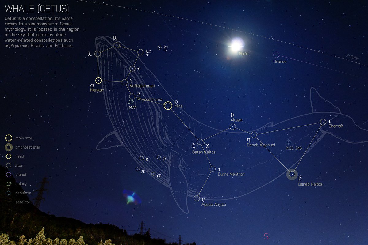 Созвездие рыбы на звездном. Созвездие кита на карте звездного неба. Созвездие Цетус. Кит Созвездие схема самая яркая звезда.