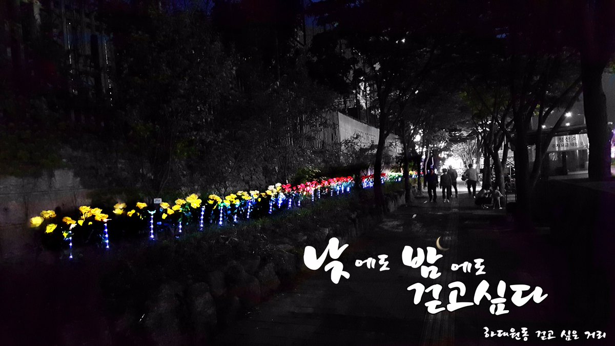 여기 저기보면
"걷고 싶은 거리"
참 많죠?

#그런데 이거 아세요?
하대원동이 진짜배기라는거

태양광 LED 꽃으로 
낮에는 화사하게 !
밤에는 은은하게 !

당신의 고단한 걸음이
오늘같은 날엔
하대원동 걷고 싶은 거리에 오셔서
힐링하세요!!!!

#하대원동 #중원구 #성남시