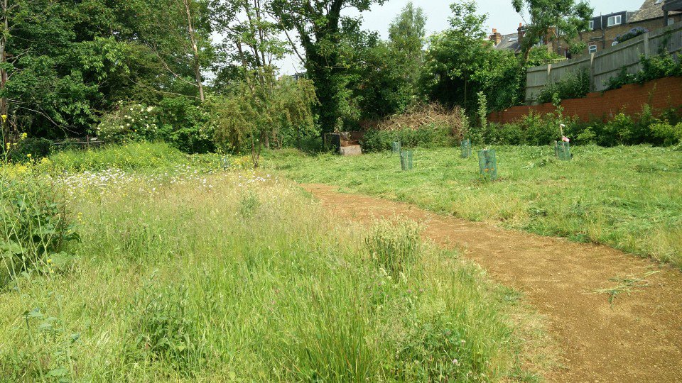 hanwellorchard's tweet photo. Great hay making opportunity!

Please join us tonight at The Piggeries Orchard @ 19:00, getting the site ready for the Grand Opening Picnic this Saturday.

Long trousers and gloves essential due to the mixed vegetation. 

map: https://t.co/AYftO5Yv44

#TTT #HANGOT https://t.co/kObOIHfk8E