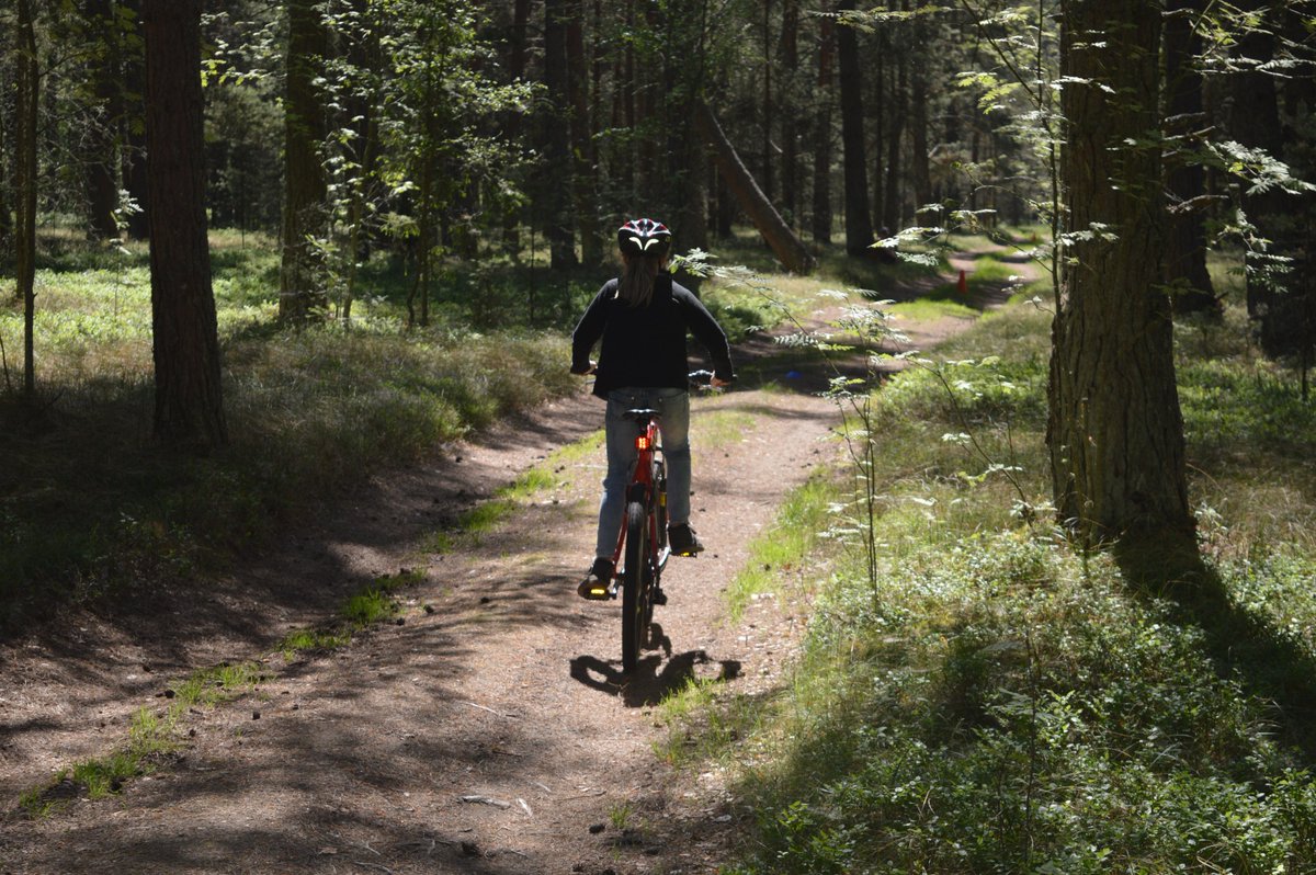 Aizvadītas <a href="/SprintersEU/">Sprinters</a>  projekta riteņbraukšanas sacensības Mērsragā!
Vairāk foto:
mersrags.lv/?ct=vsk_fotoga…
#EuropeanSprinters