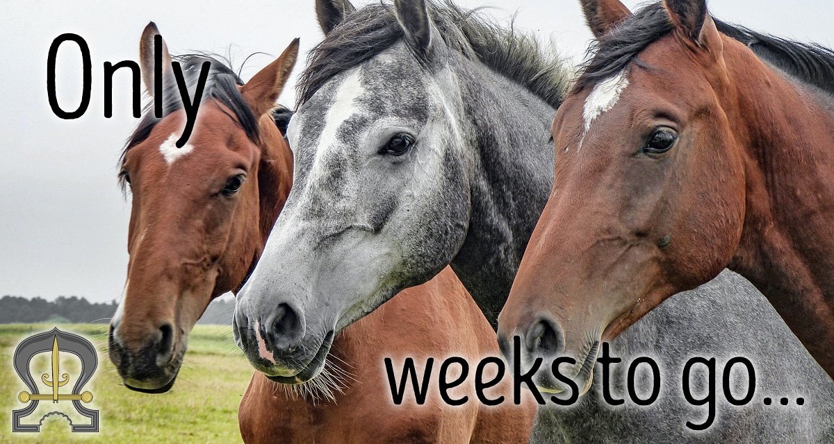 3 Weeks until Brocklesby Country Fair, we hope you have Sunday 17th June in your diary. The perfect family day out, treat your Dad on Father's Day!