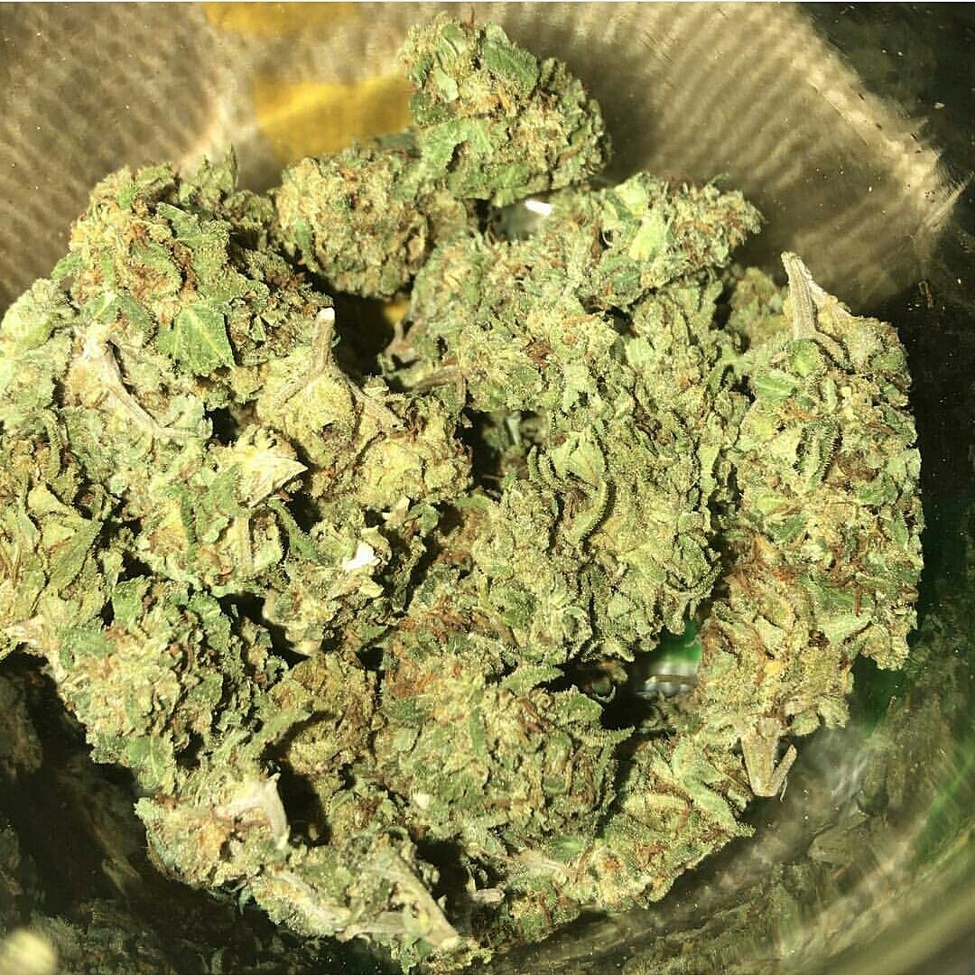 anangbill4's tweet photo. Top shelf medical Marijuana at best prices https://t.co/X2Ahm3vxSz