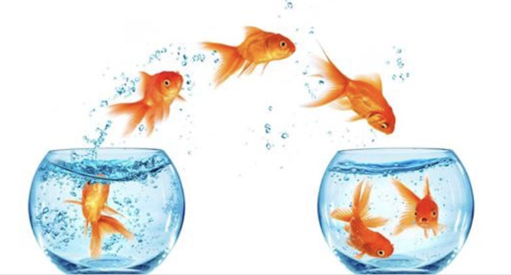 #Reorganisationen fordern ganze Teams in Unternehmen. Das Startup #Lydiant hilft und berät Unternehmen, damit sie solche Umstrukturierungen schnell und effizient meistern mit einer eigens dafür entwickelten Methode. Mehr in unserem Blog: fraubuchstaeblich.ch/lydiant-reorga…