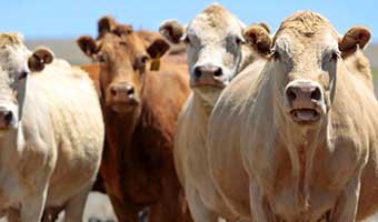 Devletin sağladığı destek, ekonomiye katkı oluyor
yatirimyeri.com/tr/icerik/devl…