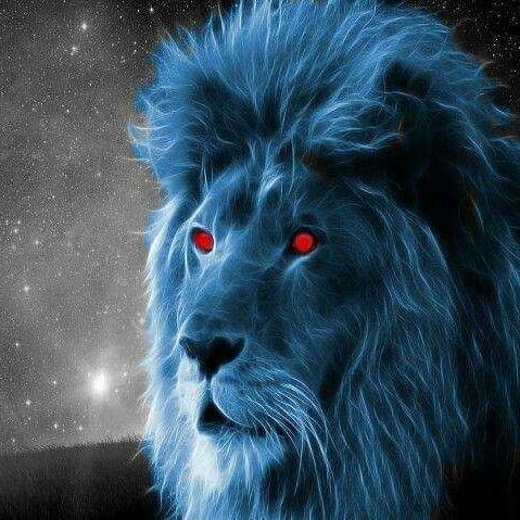 b6598f77c0f94ce's tweet image. 