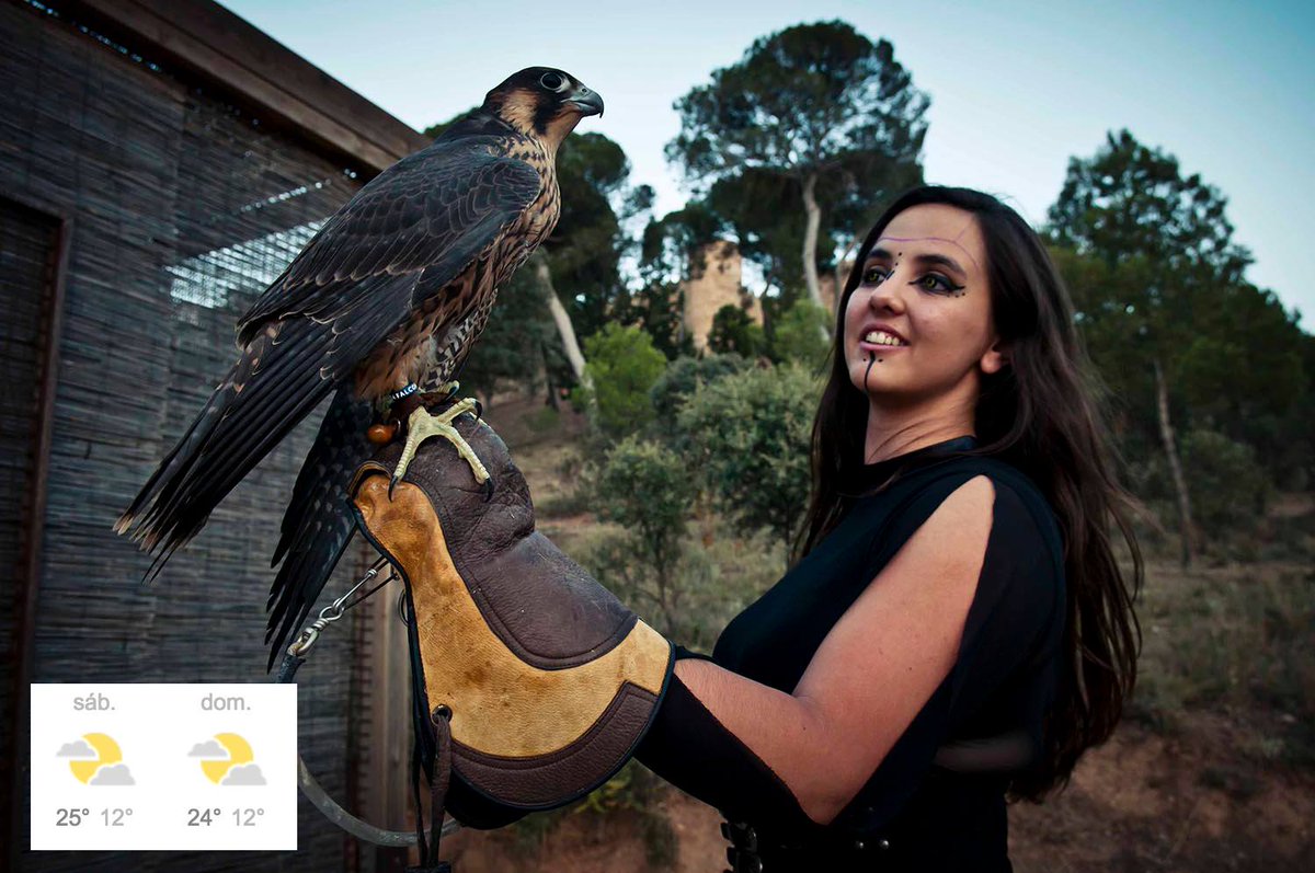 ¡Buenas noticias! El tiempo nos va a acompañar durante nuestra fiesta de este fin de semana en el Castillo de Belmonte. Disfruta del castillo y todas sus actividades de recreación histórica. Diversión y cultura para toda la familia. Compra ya tu entrada en castillodebelmonte.com