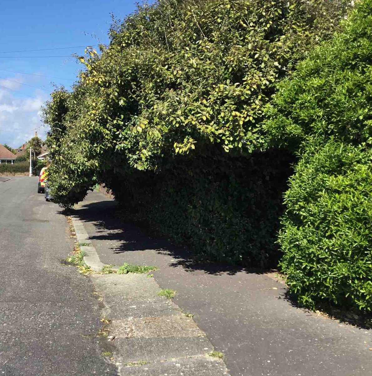 WSHighways's tweet photo. Good morning. Adam with you today.

As growing season is now in full swing, please ensure that any boundary vegetation isn't obstructing the public highway. This can prove to be very difficult for pedestrians, especially those who may need to step into the carriageway to avoid https://t.co/hT8NA41T1p