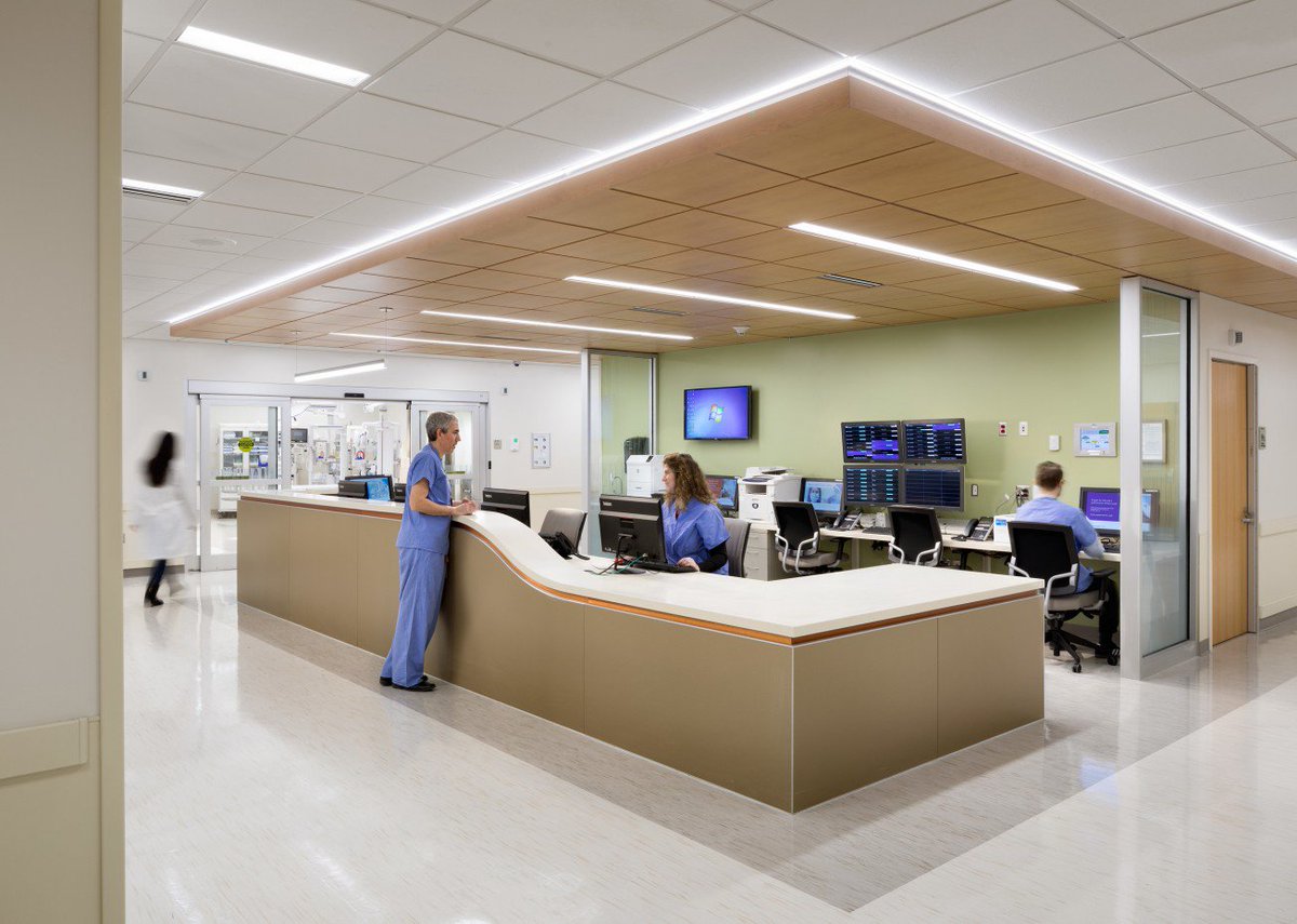 LWS_lighting's tweet photo. Healthcare facility lighting 
#ledworldsolutions #hospitallighting #lightingsolutions #healthcare #reception #lightingconcept  #decor #designlovers #interiordesign #medical #LED #architecture #clinic https://t.co/Wq1lskPojy