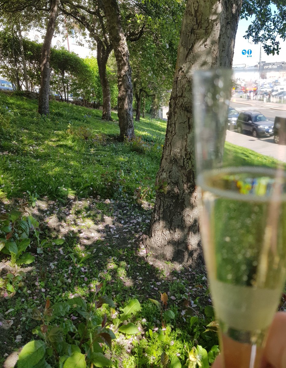 VareTaru's tweet photo. I'm SO excited! I have received my first ever #publishing #contract ! I'm going to be an #author in #MDM So little #celebration is in place https://t.co/7zopcaNhmQ