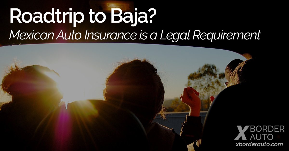 XBorderAuto tweet media