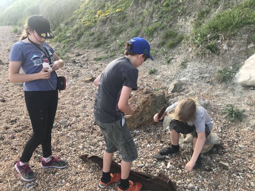 Lillington School Y6 tweet media