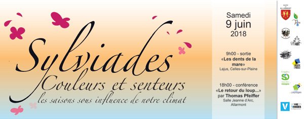 Agglomération de Saint-Dié-des-Vosges tweet media