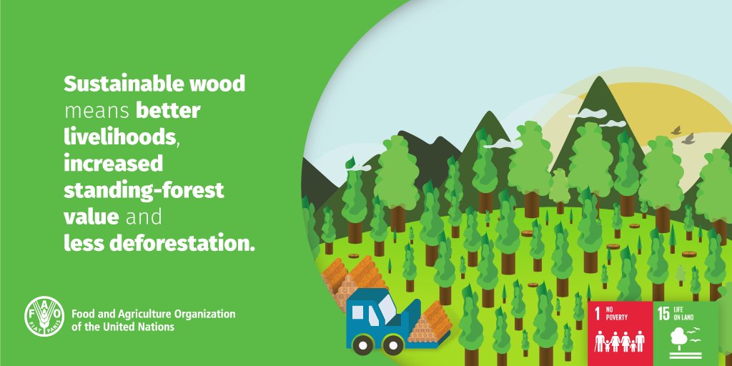 Sustainable wood means better livelihoods, increased standing-forest value &amp; less deforestation #woodisgood #SDG1 #SDG15