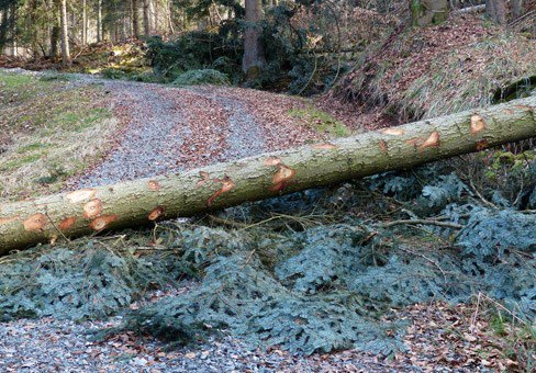 Digital: know how to beat the blockers. Which types of digital advertising do consumers find most annoying and what ad formats must you avoid to beat the blockers?
sigs.cim.co.uk/creative-commu…