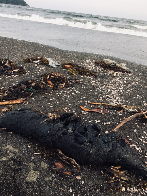 神奈川県藤沢市 鵠沼海岸に重油のかたまりが漂着しているとの情報 まとめダネ