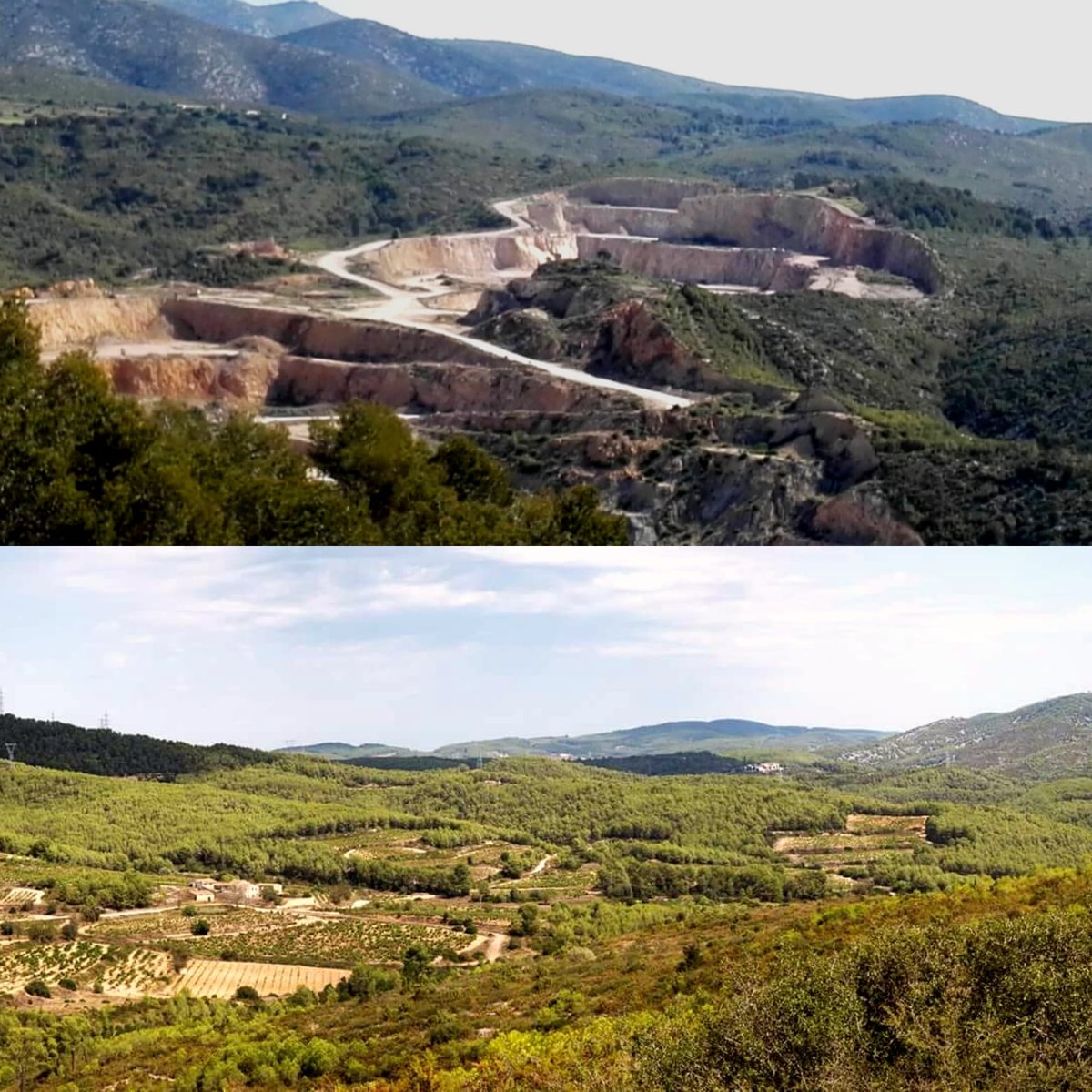RafolsdelsCaus's tweet photo. Ya disponible el #Terraprima blanco 2017.
Nace de las viñas de la foto de abajo. Aquí una pequeña historia de este #vino y de la estima de Carlos Esteva por el #MassísdelGarraf
Va hilo 👇👇👇 https://t.co/lTdK5nvpju
