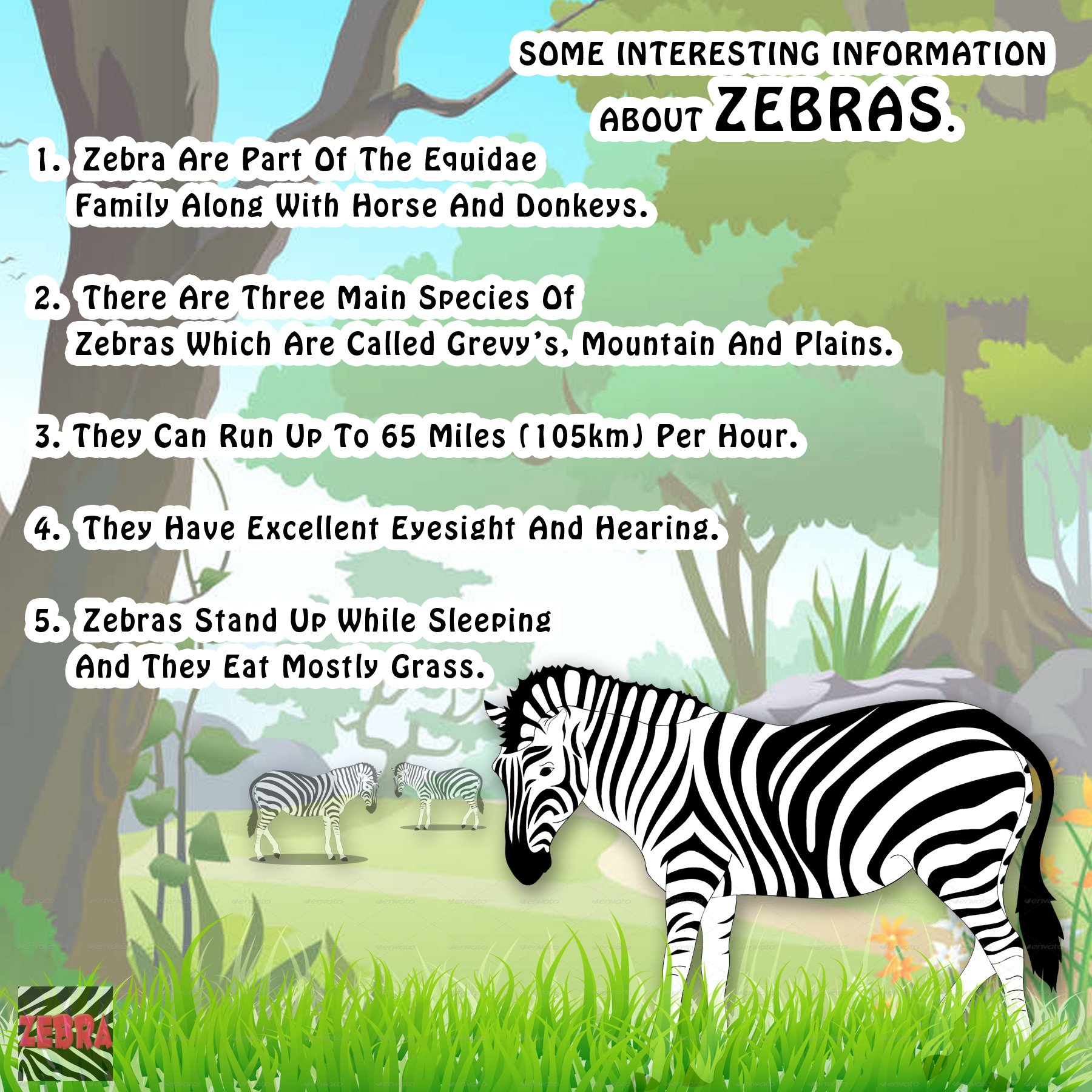 Zebras Facts For Kids The Amazing Facts About Zebras, 42 OFF