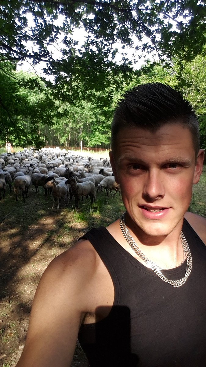 Je kunt boeren wel de schuld geven van het afnemen van #biodiversiteit, maar laat steden in o.a. #Randstad ook eerst naar zichzelf kijken! Hier in #meppel loop ik met een kudde schapen voor de verbetering in de stad. #stadsherder #verbinden #platteland #stad  #cultureelerfgoed