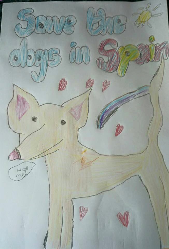Hace algún tiempo vi este dibujo y lo guardo como oro en paño. Un niño inocente pidiendo salvar a los perros españoles. No hay nada más sincero. #SaveTheDogsInSpain #StopGalgueros #FinALaCazaConPerrosYSinEllos