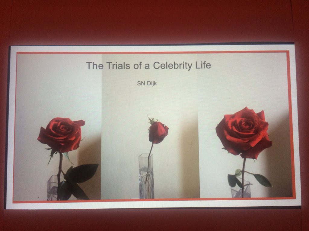 SNDijk's tweet photo. Finally, book is out on Amazon Kindle!! https://t.co/yjxZ0QEqzs