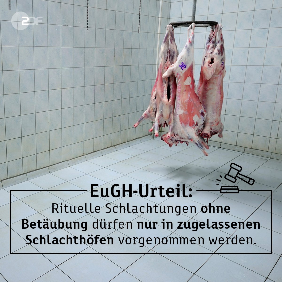 ZDF heute on Twitter: \
