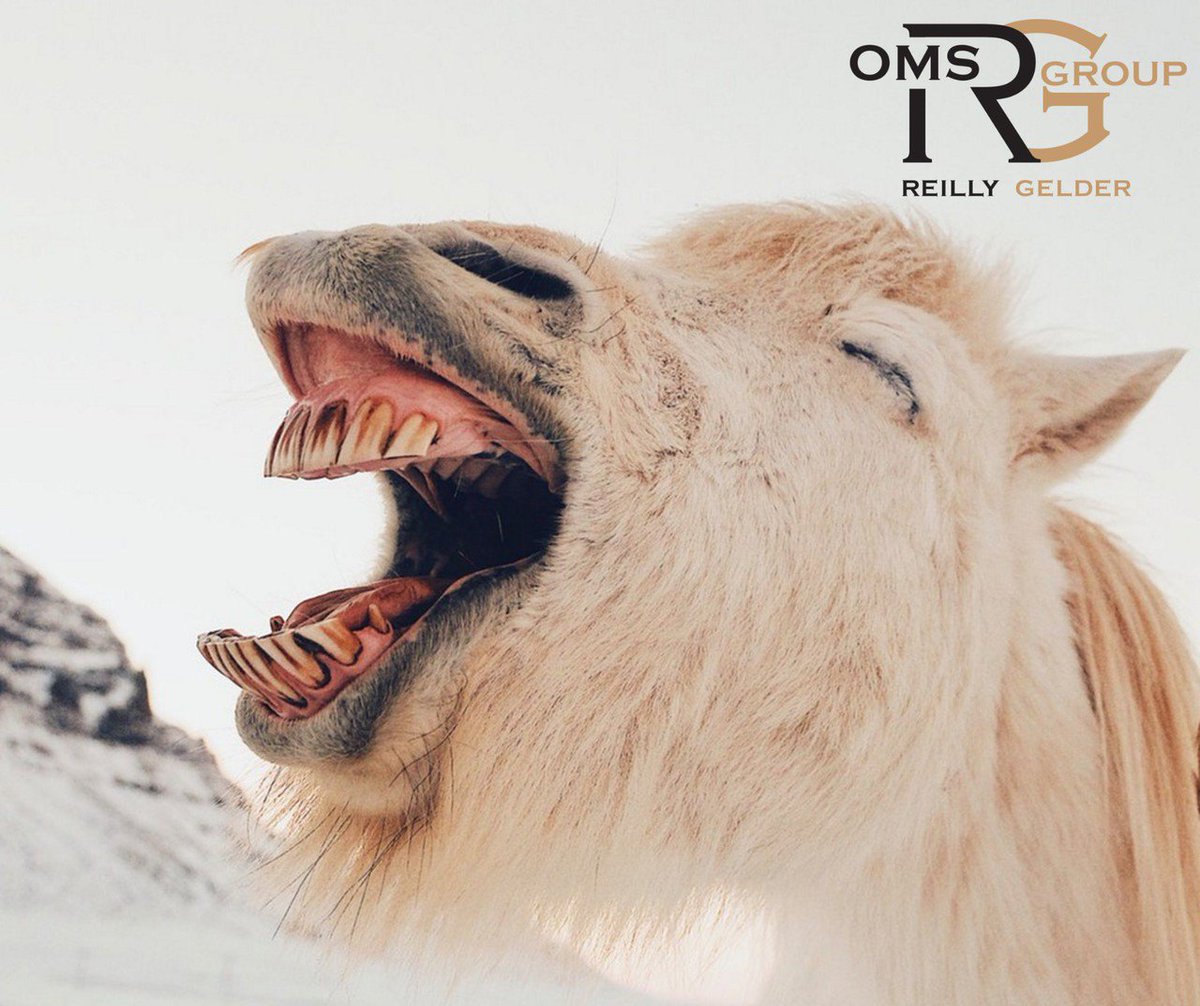 ReillyGelderOMS's tweet photo. Let everyone know… it’s #Toothsday! #HappyToothsday https://t.co/aY6TPmYhL2