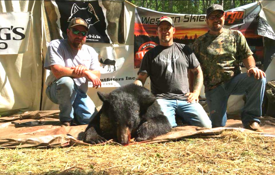 killnstix's tweet photo. Jaso Acorn the host of #TheBoneYardTv put the smack down on this great #alberta #blackbear with his #MicroventlatorLt congrats buddy.
#Bowhunter #huntinglife #nature #archery #WheretheBloodTrailBegins #Huntwithadditude  #whatgetsyououtdooors https://t.co/TMIolWFQOS