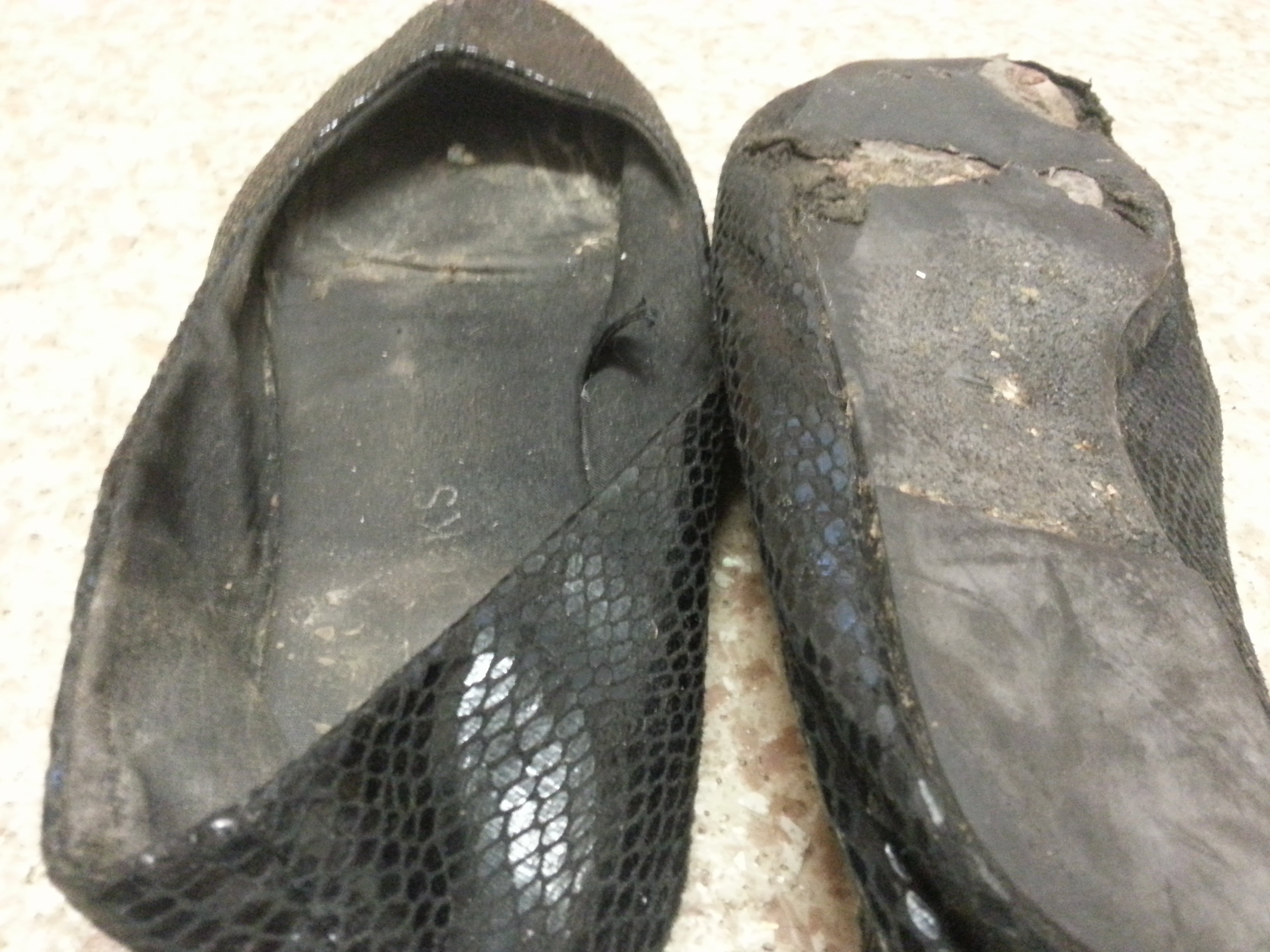 Smelly flats for sale sale