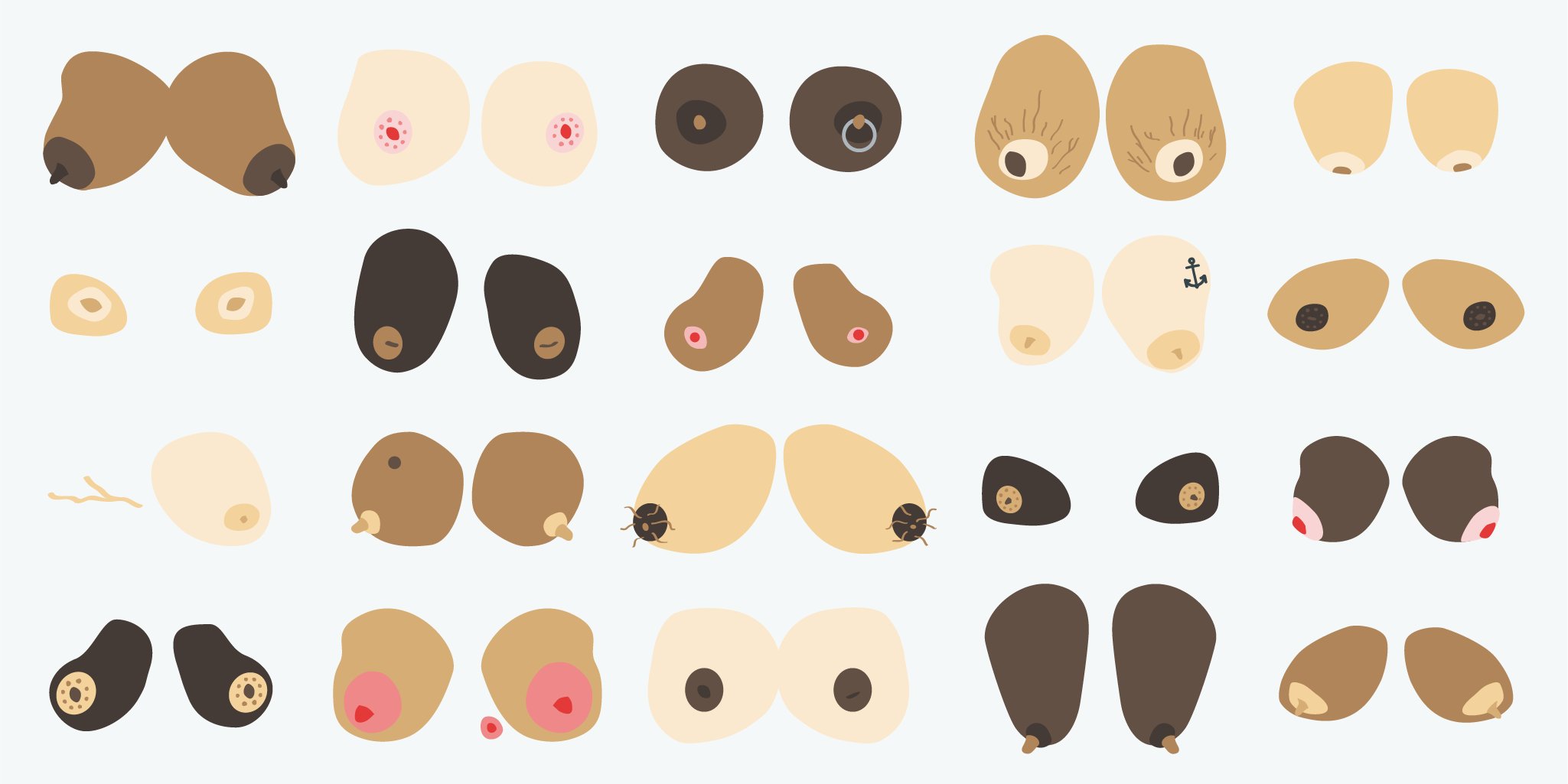 Clue on X: Boobs: Varieties of breast shapes and nipple types →    / X