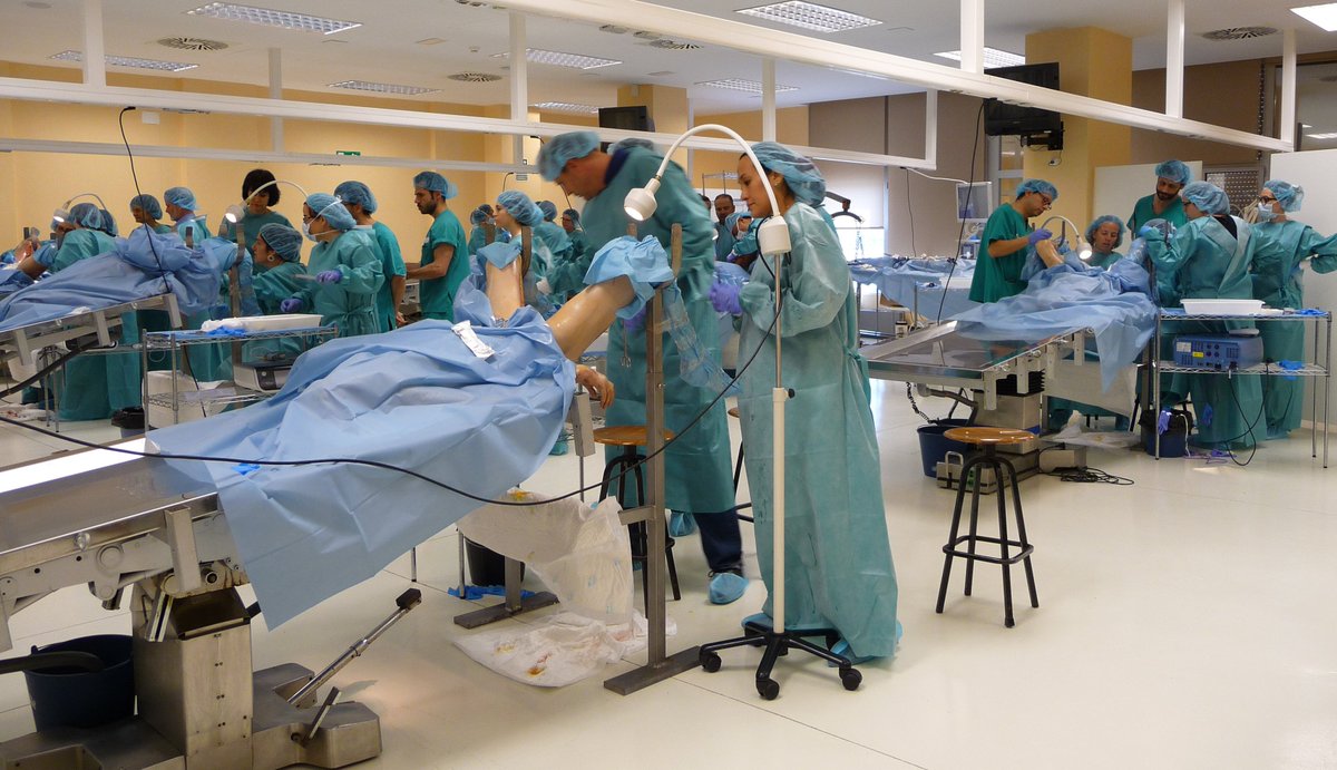 Esta semana es el turno de los Cirujanos especializados en Coloproctología para realizar las prácticas de nuestro Máster sobre Disfunción de Suelo Pélvico. ¡Con este grupo terminamos el bloque práctico! 

#mastersuelopelvUMH

#suelopelvico #cirugia #surgery