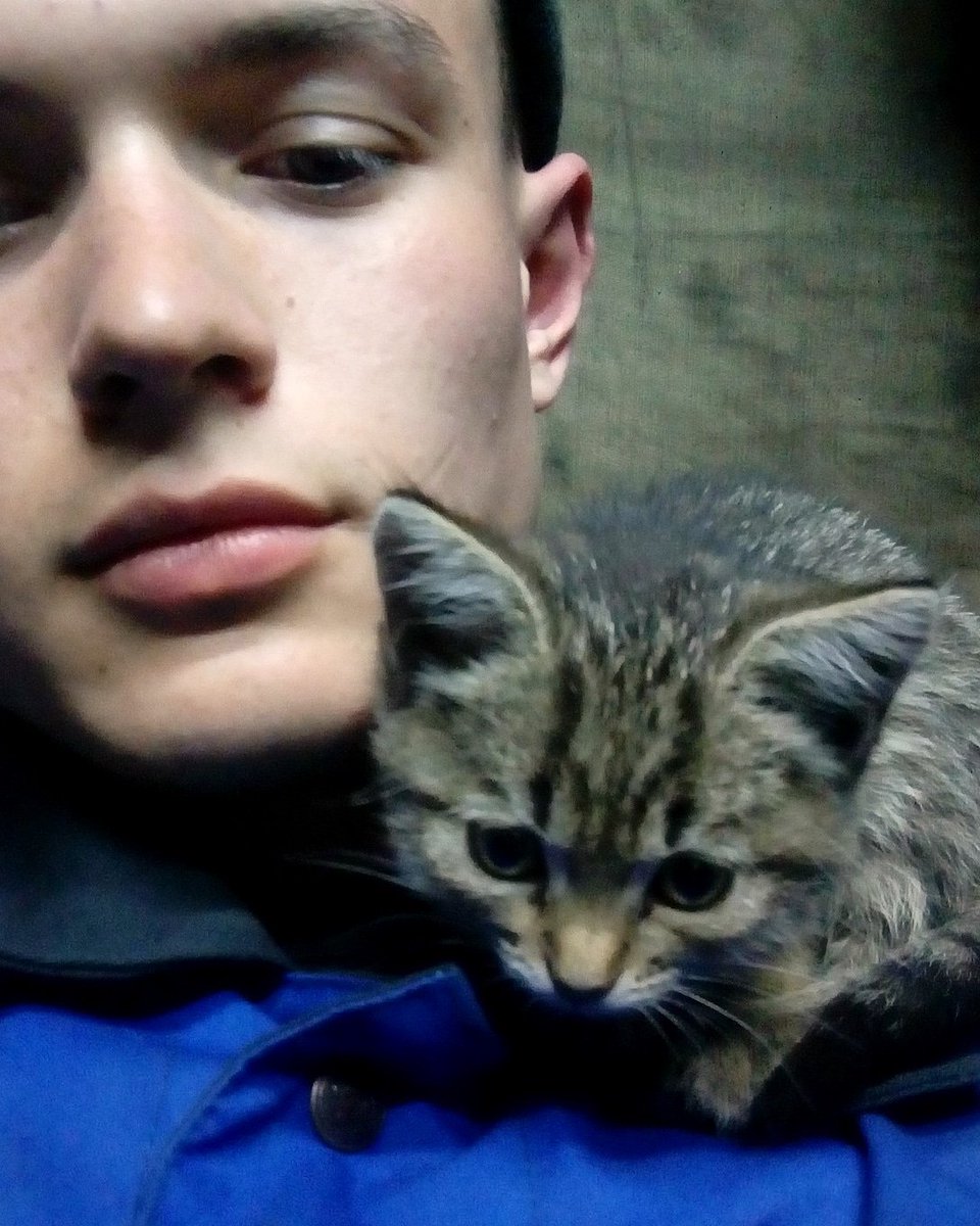 AgroSchoolMan's tweet photo. Заберите кошечку, умоляю, жалко на улицу выкидывать
Кому не сложно ретвит https://t.co/EKDLY1JUQx