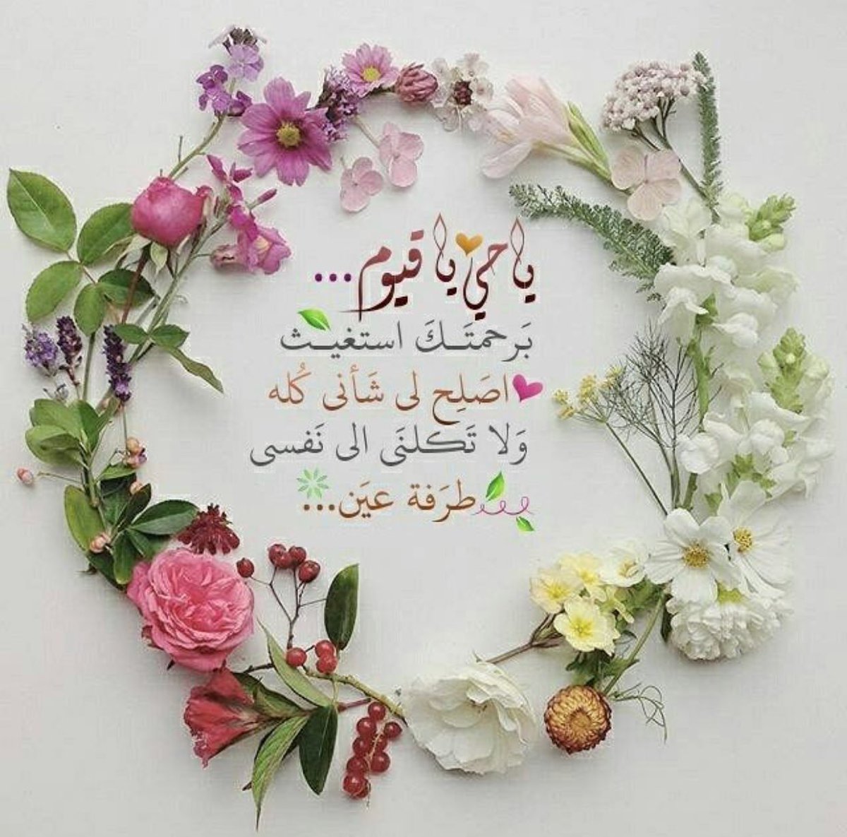 muhab33's tweet photo. https://t.co/wKjWPtZW2v