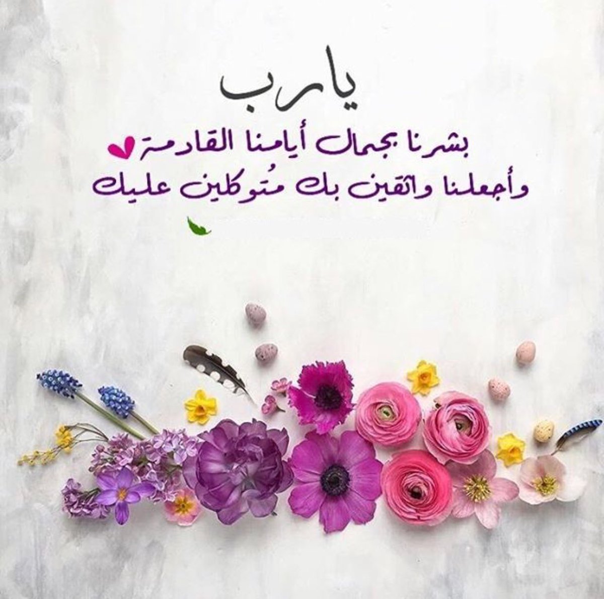 muhab33's tweet photo. https://t.co/VATHYKXT50