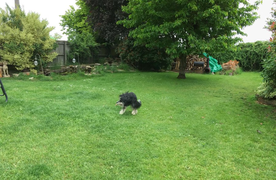 View image on Twitter