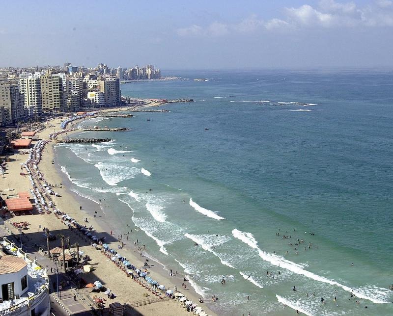 trjfas's tweet photo. #FishAssemblages in Surf Zone of the Egyptian Mediterranean
Coast off #Alexandria
https://t.co/MvwAxEtCCm https://t.co/e5JYdgKi9M